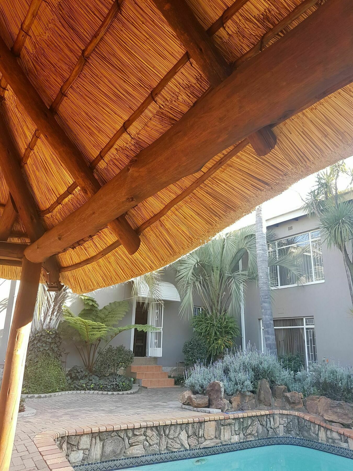 Blue Sparrow Guest House 米德尔堡 外观 照片
