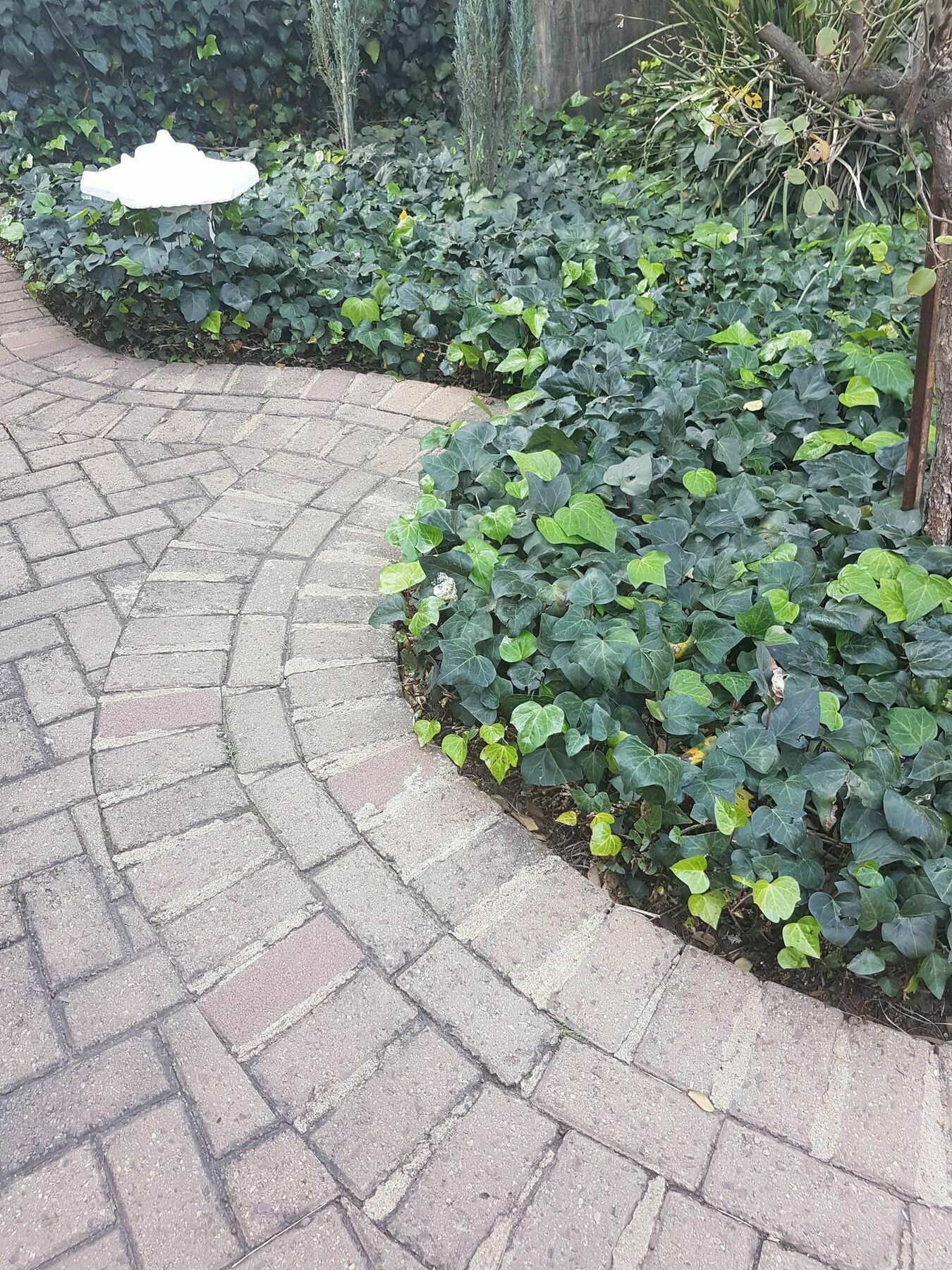Blue Sparrow Guest House 米德尔堡 外观 照片